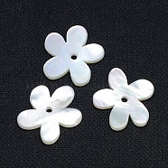 Natural White Shell Beads, Mother of Pearl Shell Beads, Flower, White, 15x16x1mm, Hole: 1mm(SSHEL-I008-03)