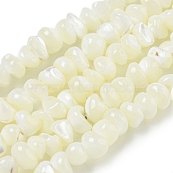 Natural Trochus Shell Beads Strands, Nuggets, WhiteSmoke, 4.5~16.5x6~11.5x6~9mm, Hole: 0.5mm, about 74pcs/strand, 15.79''(40.1cm)(BSHE-G039-01B)