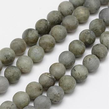Natural Labradorite Frosted Bead Strands, Round, 6mm, Hole: 1mm, about 64pcs/strand, 15.4 inch