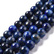 Natural Lapis Lazuli Bead Strands, Round, 8mm, Hole: 1mm, about 49pcs/strand, 15.5 inches(395mm)(G-G953-04-8mm)