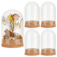 Elite 4 Sets Transparent Glass Dome Jar Cloche Display Cases, with Cork Pedestals, for Plants, Food, Candles Offic Home Decor, Arch, Clear, Finished Product: 60x99mm(AJEW-PH0011-24B)