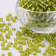 6/0 Glass Seed Beads, Silver Lined Round Hole, Round, Yellow Green, 6/0, 4mm, Hole: 1.5mm, about 500pcs/50g, 50g/bag, 18bags/2pounds(SEED-US0003-4mm-24)