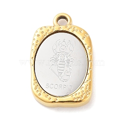 304 Stainless Steel Pendants, Rectangle with Twelve Constellations Charm, Golden & Stainless Steel Color, Scorpio, 23x14.5x3mm, Hole: 2mm(STAS-F303-A08)