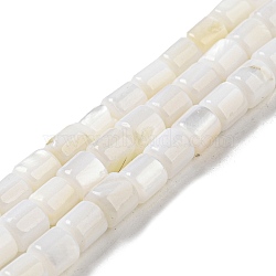 Natural Freshwater Shell Beads Strands, Column, Snow, 4~5.5x5mm, Hole: 0.6mm, about 74~75pcs/strand, 14.76~14.96 inch(37.5~38cm)(SHEL-F008-04A)