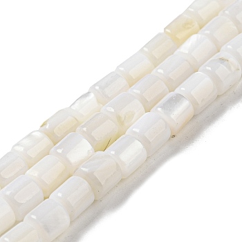 Natural Freshwater Shell Beads Strands, Column, Snow, 4~5.5x5mm, Hole: 0.6mm, about 74~75pcs/strand, 14.76~14.96 inch(37.5~38cm)