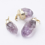 Natural Amethyst Pendants, with Brass Findings, Nuggets, Golden, 23~38x12~18x11~17mm, Hole: 5x6mm(G-P333-01G)