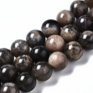 Natural Black Sunstone Beads Strands, Round, 10mm, Hole: 0.7mm, about 39pcs/strand, 15.55 inch(39.5cm)(G-N328-48B-01)