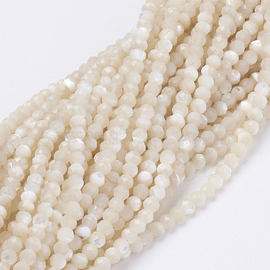 Natural Shell Beads Strands(G-E354-03)-2