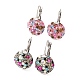 304 Stainless Steel Leverback Earrings(STAS-B070-02P)-1