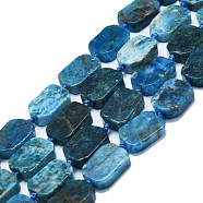 Natural Apatite Beads Strands, Rectangle, 15~17x10~13x5~7mm, Hole: 1mm, about 22pcs/strand, 15.94 inch(40.5cm)(G-K245-J20-01)