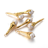 Natural Cultured Freshwater Pearl Pendants, with Brass Findings, teardrop, Golden, 43~44x12~12.5mm, Hole: 1.8mm(PEAR-F011-60G)