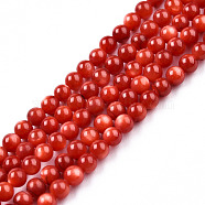 Natural Freshwater Shell Beads Strands, Dyed, Round, Red, 3mm, Hole: 0.7mm, about 122~124pcs/strand, 14.76 inch~14.96 inch(37.5~38cm)(SHEL-N026-205B-01)