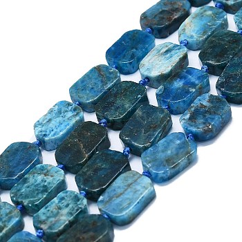 Natural Apatite Beads Strands, Rectangle, 15~17x10~13x5~7mm, Hole: 1mm, about 22pcs/strand, 15.94 inch(40.5cm)