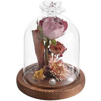 1Pc Glass Dome Cover, Decorative Display Case, Cloche Bell Jar Terrarium with Wood Base, Flower, 92x131.5mm, Inner Diameter: 87mm