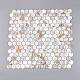 Natural Freshwater Shell Mosaic Tile Cabochons(SHEL-Q029-04)-3