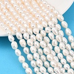 Natural Cultured Freshwater Pearl Beads Strands, Rice, Grade 3A, PapayaWhip, 6~7mm, Hole: 0.6mm, about 37~44pcs/strand, 13.58~13.98''(34.5~35.5cm)(PEAR-F020-21)
