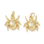 Halloween Brass Charms, Animal Series, Spider Charms, Real 18K Gold Plated, 14x14x3mm, Hole: 3.5mm(KK-T085-20A-G)