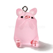Translucent Resin Pendants, Pig Charm, with Platinum Tone Iron Findings, Pearl Pink, 26x17x19mm, Hole: 2mm(RESI-E031-01P-05)