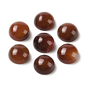 Natural Red Agate Cabochons, Dyed & Heated, Half Round, 10x5mm(G-B082-07B-02)