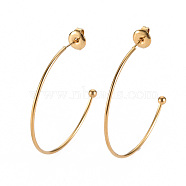 304 Stainless Steel Stud Earrings, Half Hoop Earrings, with Round Beads and Ear Nuts, Semicircular, Real 14K Gold Plated, 19x20x1.5mm, Pin: 0.8mm(STAS-S116-272D-G)