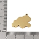 201 pendentifs en acier inoxydable(STAS-C095-19G)-3