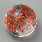 Transparent Glass Cabochons, with Preserved Flower inside, Half Round/Dome, FireBrick, 20x16mm(GLAA-WH0039-19G)