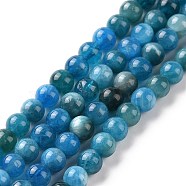 Natural Apatite Beads Strands, Round, 5.5mm, Hole: 1mm, about 74pcs/strand, 16.1 inch(41cm)(G-J373-21-5.5mm-01)