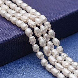 Natural Cultured Freshwater Pearl Beads Strands, Potato, White, 5~8x4~4.5mm, Hole: 0.6mm, about 52~64pcs/strand, 13.52 inch(34.5cm)(PEAR-P060-11)