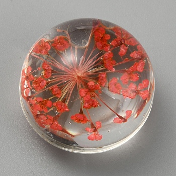 Transparent Glass Cabochons, with Preserved Flower inside, Half Round/Dome, FireBrick, 20x16mm