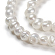 Natural Cultured Freshwater Pearl Beads(PEAR-D049-1)-2
