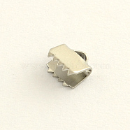 Stainless Steel Ribbon Crimp Ends, Stainless Steel Color, 8x8.5mm, Hole: 1.5mm(STAS-Q187-03)