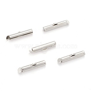 Iron Slide On End Clasp Tubes, Slider End Caps, Cadmium Free & Lead Free, Platinum, 5.5x20x4mm, Hole: 1mm, 3.2mm Inner Diameter(X-IFIN-R212-2.0cm-P)