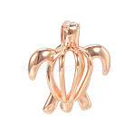 Hollow Brass Bead Cage Pendants, Sea Turtle, Cadmium Free & Nickel Free & Lead Free, Light Gold, 19x17x10mm, Hole: 2mm(X-KK-K124-09KCG-NR)