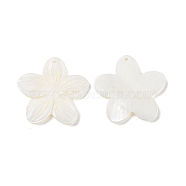 Natural Freshwater Shell Pendants, Flower Charms, Seashell Color, 35.5~36.5x37~38x2.5~3mm, Hole: 1.5mm(SSHEL-C011-04)