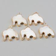 Electroplate Natural Freshwater Shell Pendants, with Golden Brass Findings, Elephant, Seashell Color, 23.5x19.5x3.5mm, Hole: 2mm(SHEL-T017-07)
