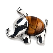 Natural Tiger Eye Pendants, Elephant Charms with Alloy Findings, Platinum, 29x37~37.5x9.5~10mm, Hole: 3x9mm(G-G112-01P-02)