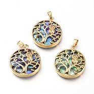 Natural Abalone Shell/Paua Shell Pendants, with Brass Findings, Flat Round with Tree & Owl, Golden, 31.5x27.5x7mm, Hole: 4.5x7mm(BSHE-I014-01G)