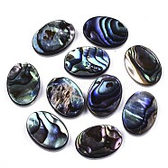 Natural Abalone Shell/Paua Shell Cabochons, with Freshwater Shell, Oval, Colorful, 14x10x3mm(SSHEL-N034-73A-01)