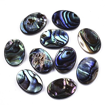 Natural Abalone Shell/Paua Shell Cabochons, with Freshwater Shell, Oval, Colorful, 14x10x3mm