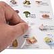 PET Tags
 Picture Stickers(AJEW-R098-01D)-3