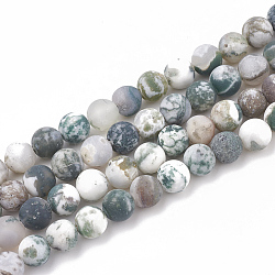 Natural Tree Agate Beads Strands, Frosted, Round, 6mm, Hole: 1mm, about 63pcs/strand, 15.5 inch(G-T106-037)