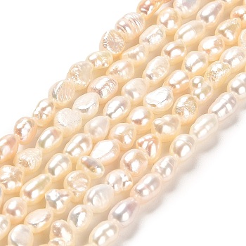 Natural Keshi Pearl Beads Strands, Two Sides Polished, Grade 3A, Baroque Pearls, Linen, 3~4x5~6mm, Hole: 0.5mm, about 63pcs/strand, 14.37''~14.57''(36.5~37cm)