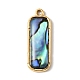 Paua Shell Pendants(SSHEL-B145-01B-G)-1