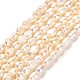 Natural Keshi Pearl Beads Strands(PEAR-E016-102)-1
