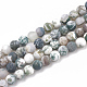 Chapelets de perles en agate d'arbre naturelle(G-T106-037)-1