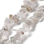 Natural Chalcedony Beads Strands, Chip, 1~8x5~17x5~8mm, Hole: 0.9~1mm, 30.31~31.50''(77~80cm)(G-M205-83)