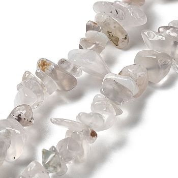 Natural Chalcedony Beads Strands, Chip, 1~8x5~17x5~8mm, Hole: 0.9~1mm, 30.31~31.50''(77~80cm)