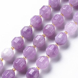 Natural Dolomite Beads Strands, Dyed, Faceted, with Seed Beads, Double Terminated Point Prism Beads, Bicone, Medium Purple, 11~12x10~11.5mm, Hole: 1.5mm, about 27~28pcs/strand, 14.57 inch~15.16 inch(37cm~38.5cm)(G-T131-126C)