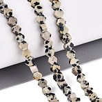Natural Dalmatian Jasper Beads Strands, Hexagon, 3.5~4x4~4.5x2~3.5mm, Hole: 0.5~0.6mm, about 95~104pcs/strand, 15.16~15.94 inch(38.5~40.5cm)(GG-N002-02A-02)