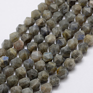 Natural Labradorite Beads Strands, Star Cut Round Beads, Faceted, 8mm, Hole: 1mm, about 47pcs/strand, 14.7 inch(G-K209-02E-8mm)